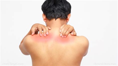 Pain Under The Shoulder Blade Possible Causes And How To Prevent It