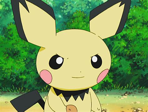 Shos Pichu Pokémon Wiki Fandom Powered By Wikia