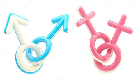 Gay And Lesbian Symbol Emblems Stock Illustration Illustration Of Glossy Rose 25330245