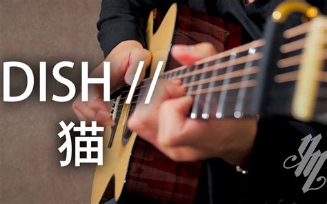 Dish 猫 Fingerstyle Guitar Yuki Matsui 松井祐贵哔哩哔哩bilibili