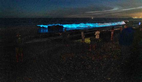 Neon Bioluminescent Waves Fading After Making The Ocean Glow Off