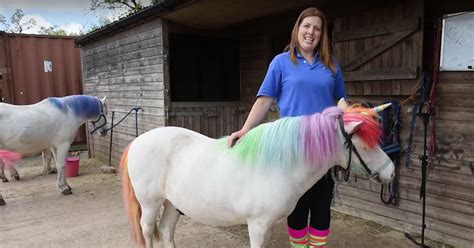 Woman Introduces Her Real Life Unicorn Metaspoon