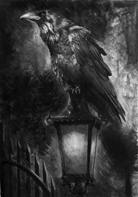 Pin By Jessica Clark On Gothic And Enchanted Crow Art Dark Art Raven