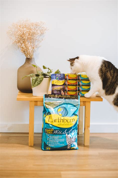 Together they average 6.6 / 10 paws, which makes earthborn holistic an above average overall cat food brand when compared to all the other brands in our database. Earthborn Holistic Food for Cats in 2020 | Holistic cat ...