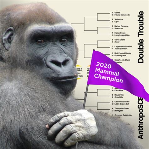 Member Events - Carnegie Museums of Pittsburgh