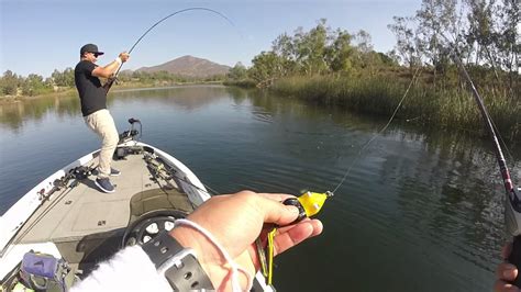 San Diego Fishing Youtube