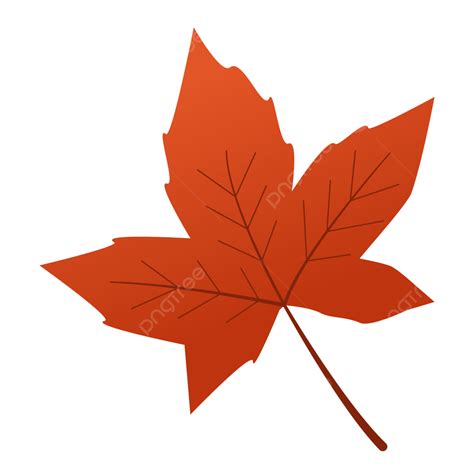 Desain Ilustrasi Daun Maple Merah Musim Gugur Maple Musim Gugur Daun