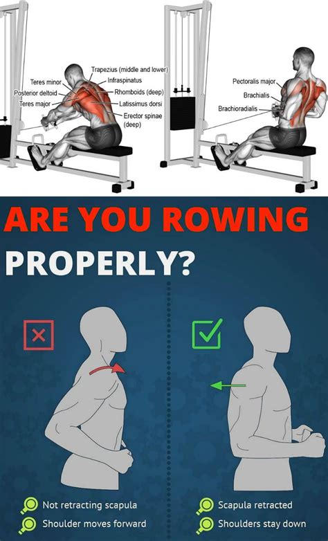 5 Reasons Why The Rowing Machine Is The New Craze