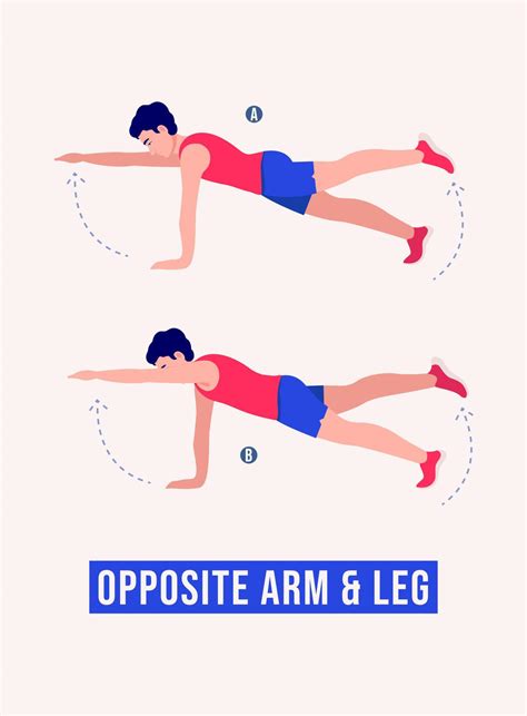 Opposite Arm And Leg Exercise Men Workout Fitness Aerobic And