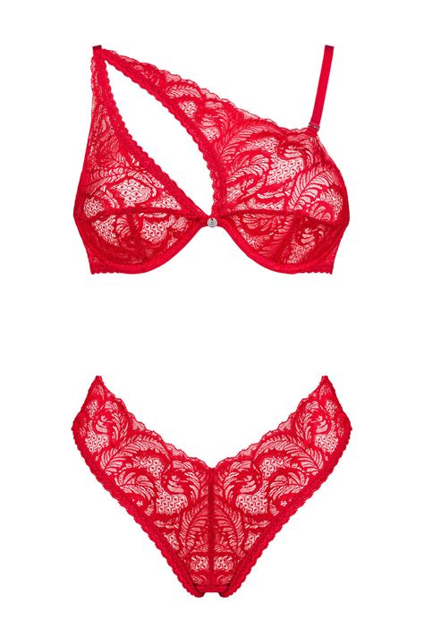 Obsessive Women S Sexy Lace Lingerie Set Bra And Briefs Atenica Red