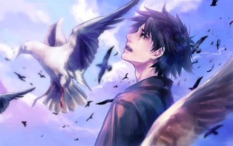 Anime Boy Cry Bird Clouds Sky Wallpapers Hd Desktop And Mobile