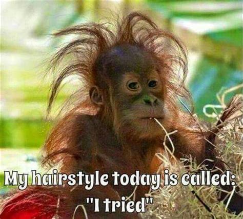 Having A Bad Hair Day Quotes Lauran Rizzo