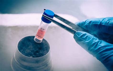 Leukaemia And Myeloma Research Uk Beating Blood Cancer With Stem Cell