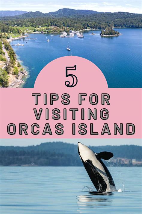 5 Tips For Visiting Orcas Island AnnMarie John