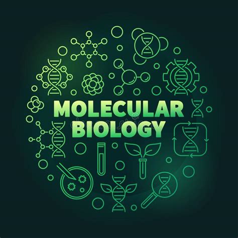 Vector Molecular Biology Round Illustration In Thin Line Style Stock