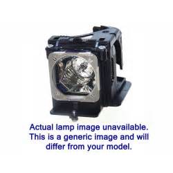 Replacement Lamp For Samsung Hl P5063wx Xa Bp96 00608a 183 00 S