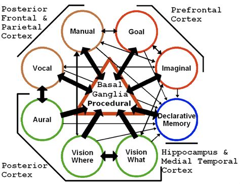 Capabilities and alignment of LLM cognitive architectures — AI