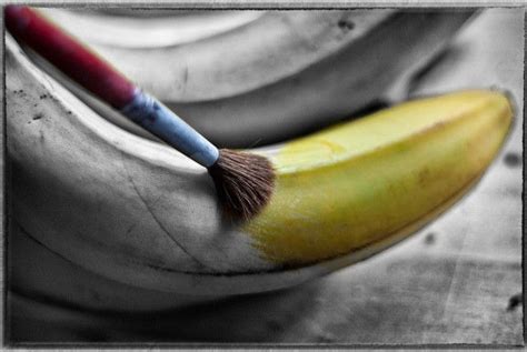 Awesome Black And White Photos Selective Color Photography Color