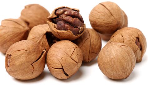 Hickory Nuts Identification And Types With Pictures Golden Spike Company