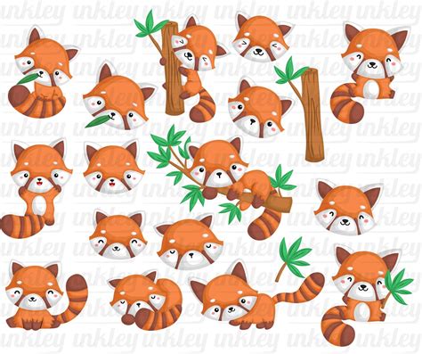 Red Panda Clipart Cute Animal Clip Art Cute Mammal Free Etsy