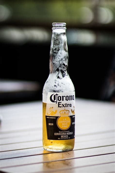 How to Protect Yourself From Corona Beer | A Tinge of Cringe