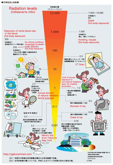 Japan Infographic Radiation Levels And The Body Radiation