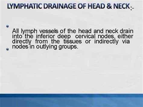 Anatomy Of Lymph Nodes Of Head And Neck