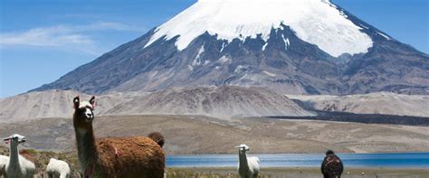This page contains a national calendar of all 2019 public holidays. Chile Public Holidays 2019 - PublicHolidays.cl
