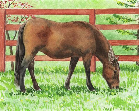 Grazing Horse Watercolor Painting Painting By Irina Sztukowski Fine