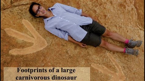 One Of The Largest Dinosaur Footprints Found In Lesotho News Al Jazeera