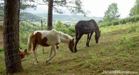 Casa rural goiena ⭐ , spain, munguia, bakioko bidea, 7 a: Casa Rural Goiena | Casa Rural en Mungia (Vizcaya)