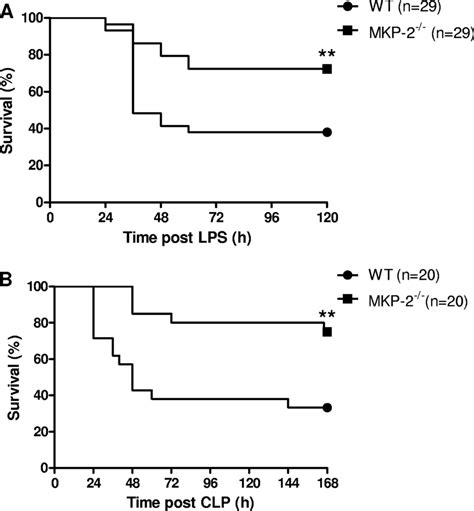 Improved Survival In Mkp 2 Mice Following Lps And Clp Models Of