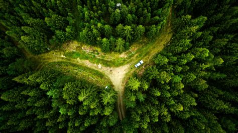 Aerial Photography Of Road Between Forest Drone Landscape Nature