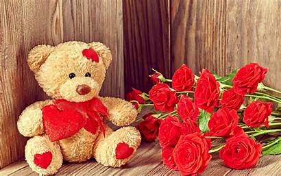 Teddy Bear Flowers Wallpapers Rose Desktop Redmi