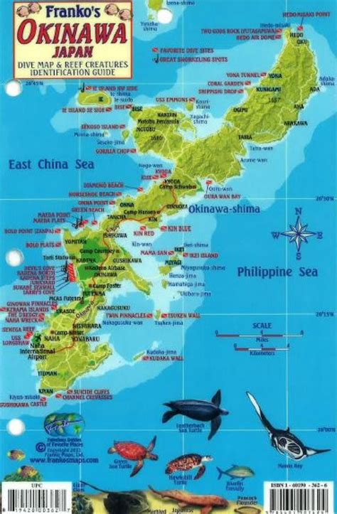 Okinawa Japan Dive Map And Reef Creatures Identification Guide By