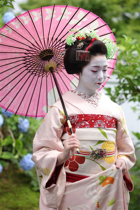 The Flower And Willow World Recognizing Historical And Modern Geisha