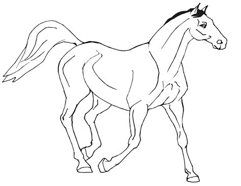 Collection of real horse coloring pages to print you are able to download for free. Realistic Horse Coloring Pages To Print - Coloring Home