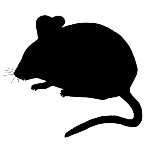 Download High Quality Mouse Clip Art Silhouette Transparent Png Images