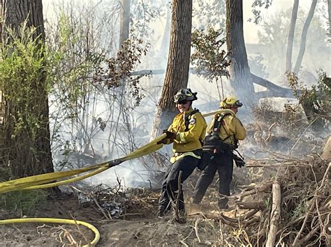 CAL FIRE Butte Unit/Butte County Fire Department on Twitter: "#Dogfire