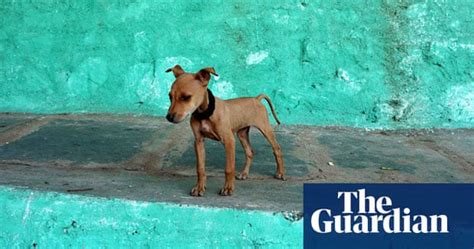 Weekend Readers In Pictures Abandoned Life And Style The Guardian