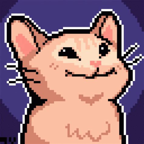 Navigate to your server settings and proceed to click the emoji tab, you will notice a purple button that says upload emoji. Pop Pop Cat GIF - Pop PopCat PixelArt - Discover & Share ...