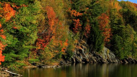 Autumn Rivers Forests Hd Wallpaper Rare Gallery