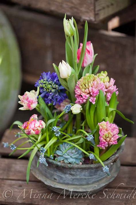 Although known mostly for their foliage, the spring flowers can be quite spectacular and last for quite a while. Blomsterverkstad: Spring pot!