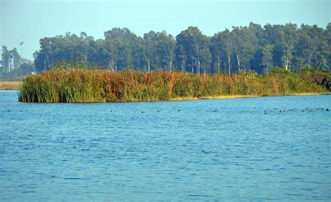 Asan Conservation Reserve becomes Uttarakhand's 1st Ramsar site