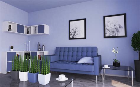 Two Colour Combination For Living Room Walls Homes4india Pvt Ltd