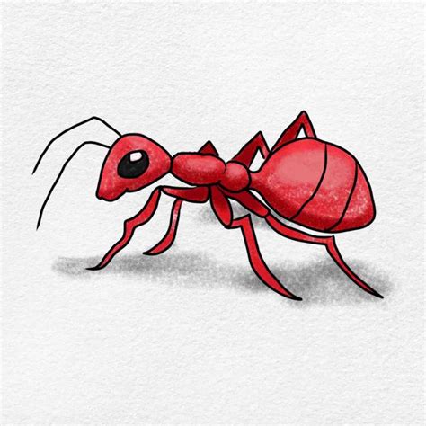 25 Easy Ant Drawing Ideas How To Draw An Ant