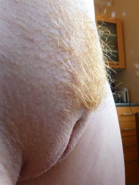 rustic and rusty orange pubic hair 333 pics 4 xhamster