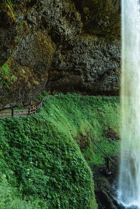 8 Incredible Walk Behind Waterfalls In Oregon The Mandagies