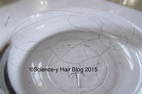 Once inside the hair structure oils can retain moisture. Science-y Hair Blog: Hair Porosity: The Float Test Part Two