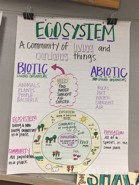 Ecosystem Anchor Chart Science Anchor Charts 5th Grade Fourth Grade